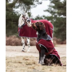 Bucas Hondendeken Show-Line Burgundy/Grijs
