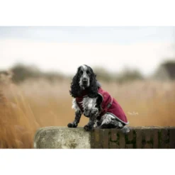 Bucas Hondendeken Show-Line Burgundy/Grijs