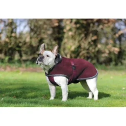 Bucas Hondendeken Show-Line Burgundy/Grijs