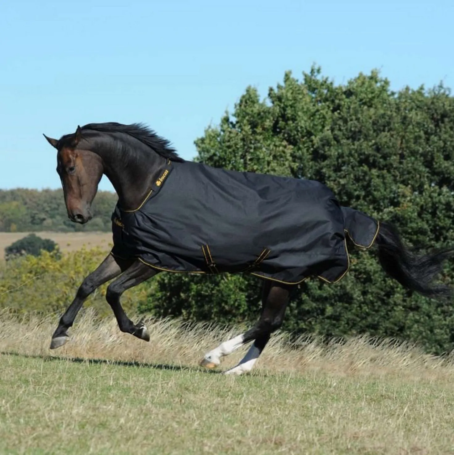 Bucas Irish Turnout Extra 300g Black/Gold