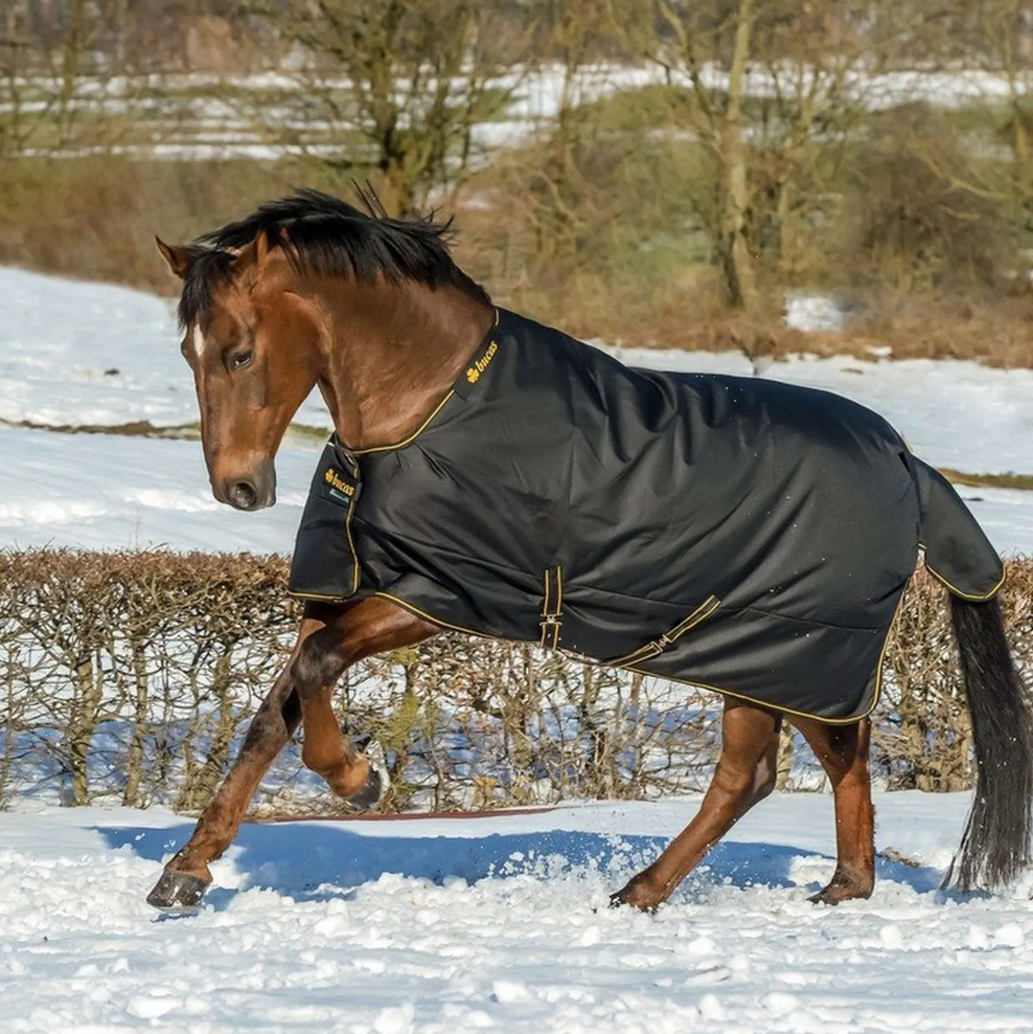 Bucas Irish Turnout Extra 300g Black/Gold
