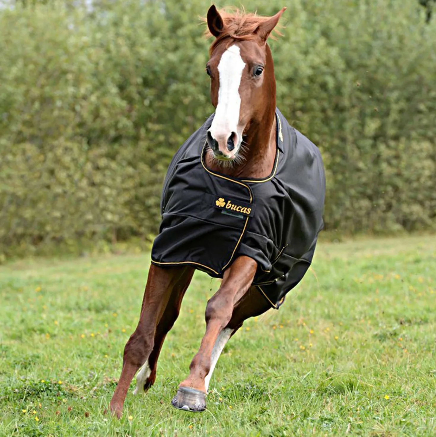 Bucas Irish Turnout Extra 300g Black/Gold