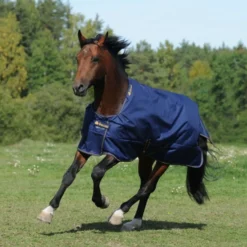 Bucas Irish Turnout Extra 300g Navy/Gold