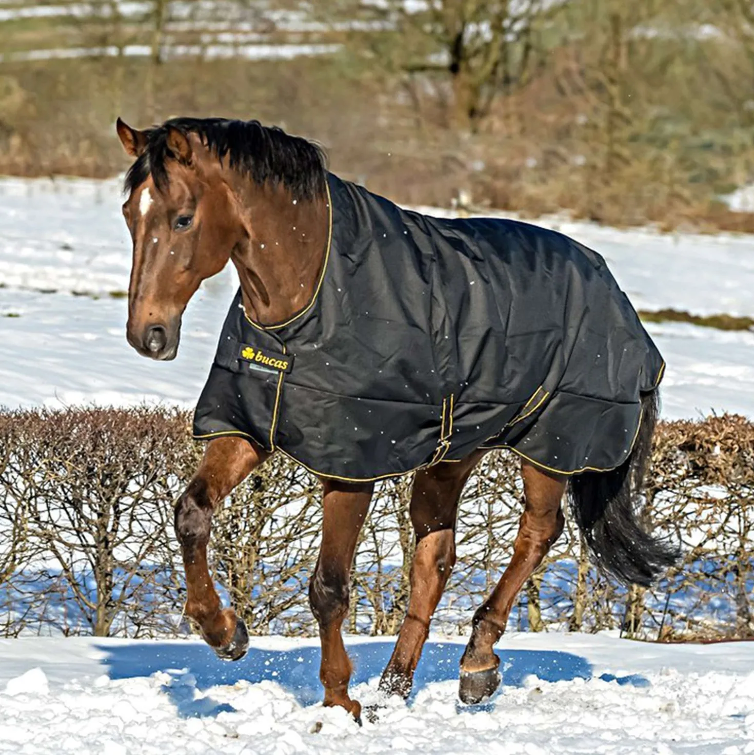 Bucas Irish Turnout Extra High Neck 300g Black/Gold