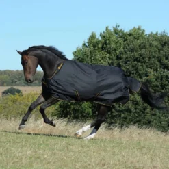 Bucas Irish Turnout 150g Black/Gold