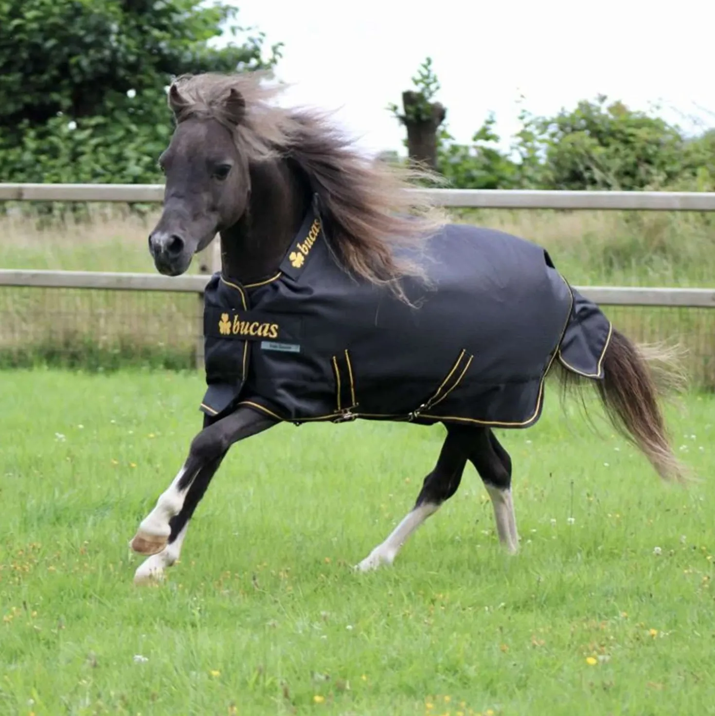 Bucas Irish Turnout 250g Black/Gold