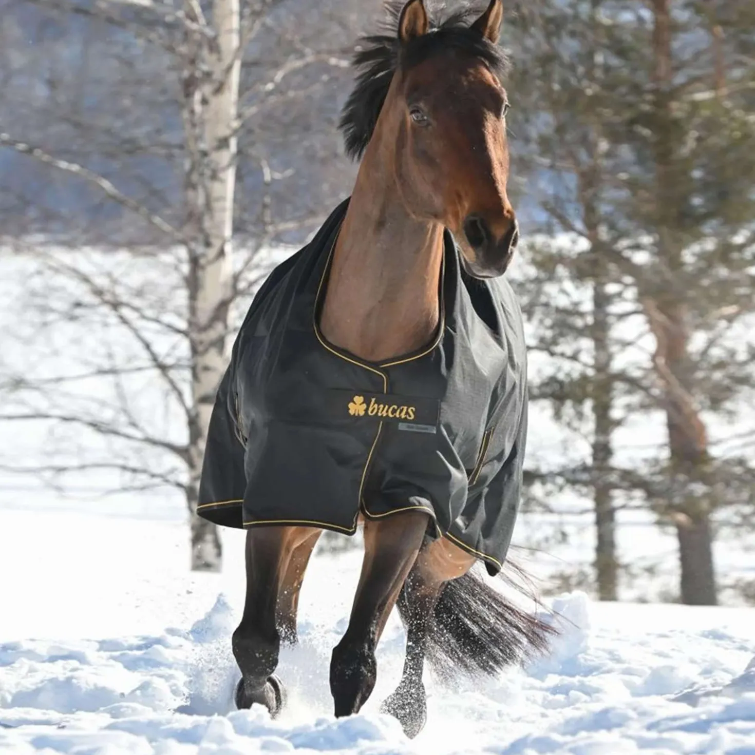 Bucas Irish Turnout 250g Black/Gold