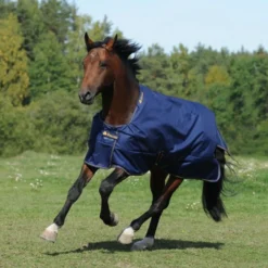 Bucas Irish Turnout 150g Navy/Gold