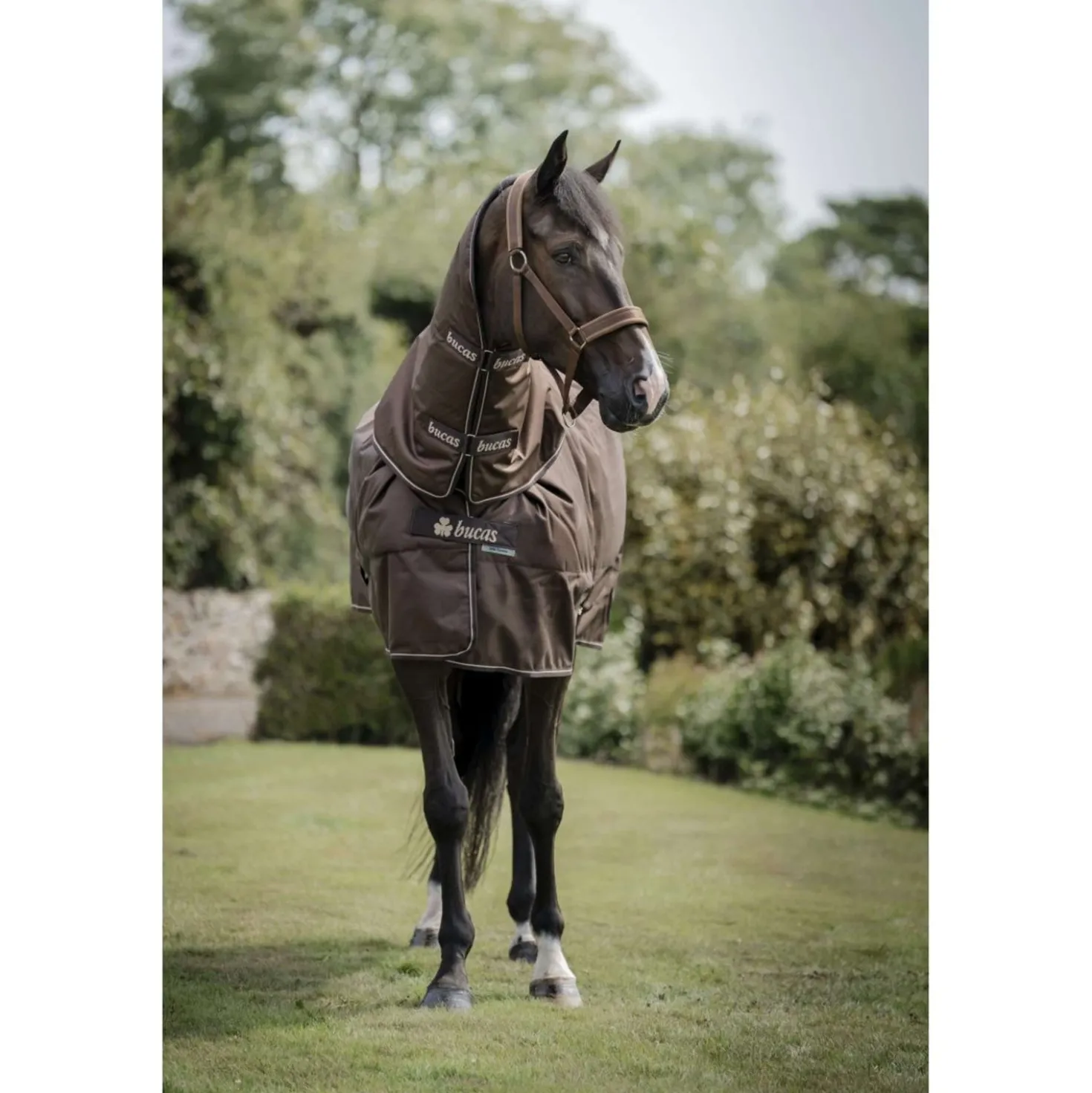 Bucas Irish Turnout 50g + Neck Espresso