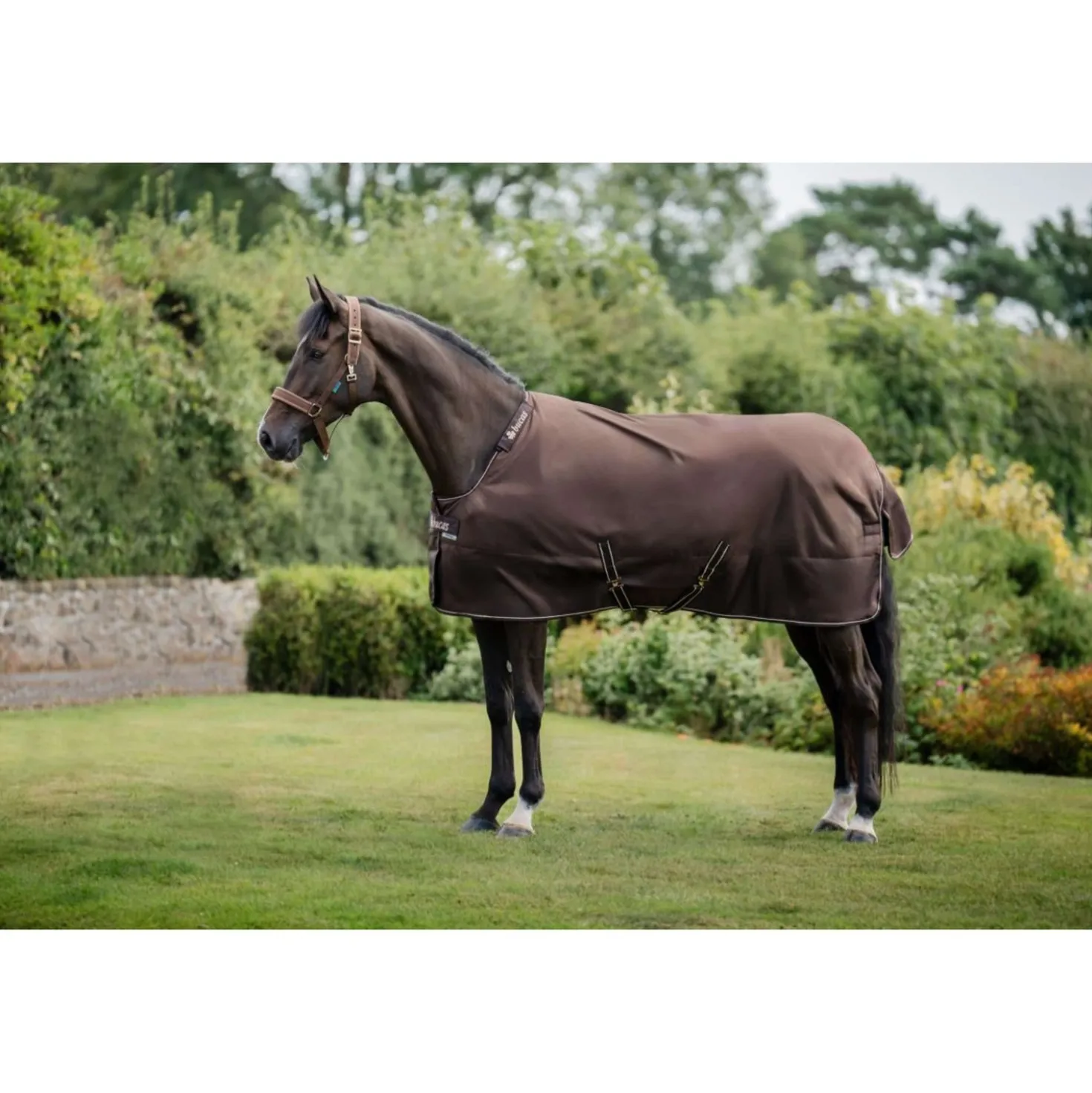 Bucas Irish Turnout 50g + Neck Espresso