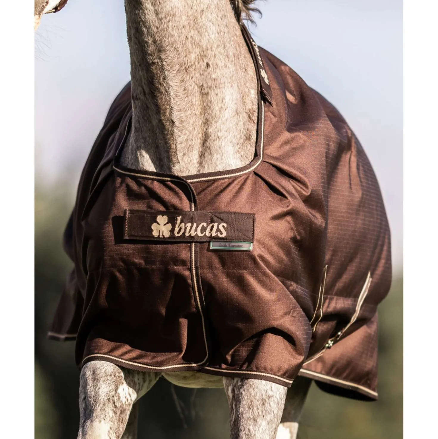 Bucas Irish Turnout 50g + Neck Espresso