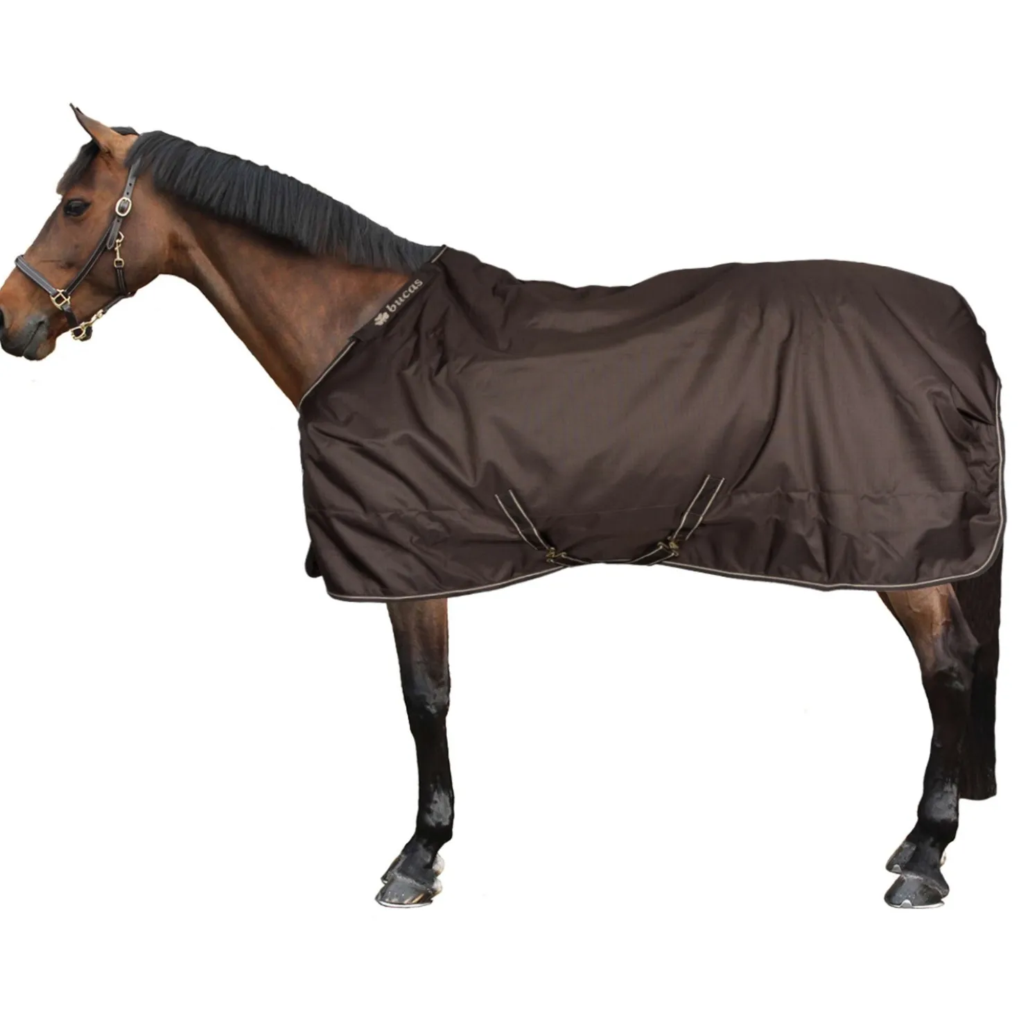 Bucas Irish Turnout 150g + Neck Set Espresso