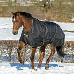 Bucas Irish Turnout Light Highneck 50g Black/Gold