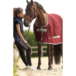 Bucas Lead Rein Dublin Padded Wine/Silver