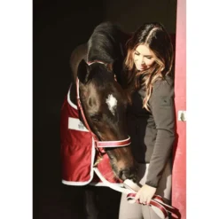 Bucas Lead Rein Dublin Padded Wine/Silver