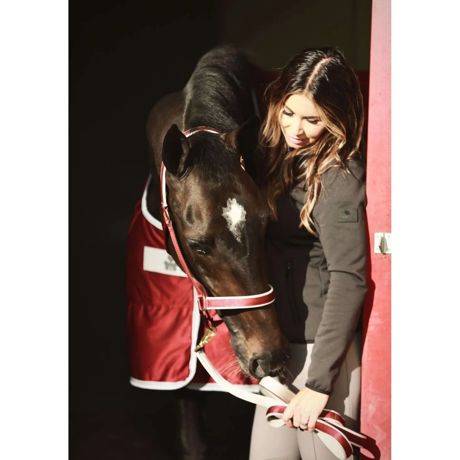 Bucas Lead Rein Dublin Padded Wine/Silver