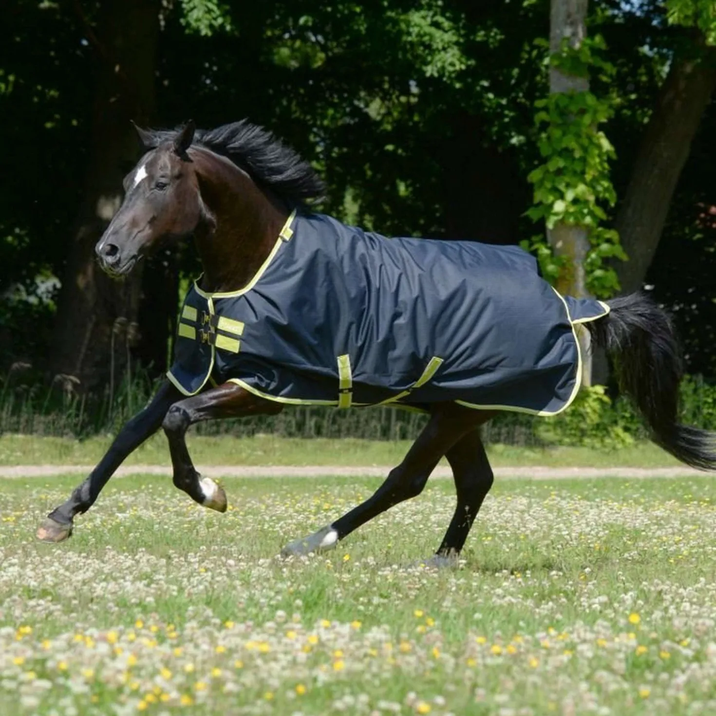 Bucas Oasis Turnout Neck 200g Dark Grey/Lime