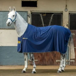 Bucas Panel Prize Cooler Navy/Gold