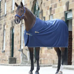 Bucas Panel Prize Cooler Navy/Gold