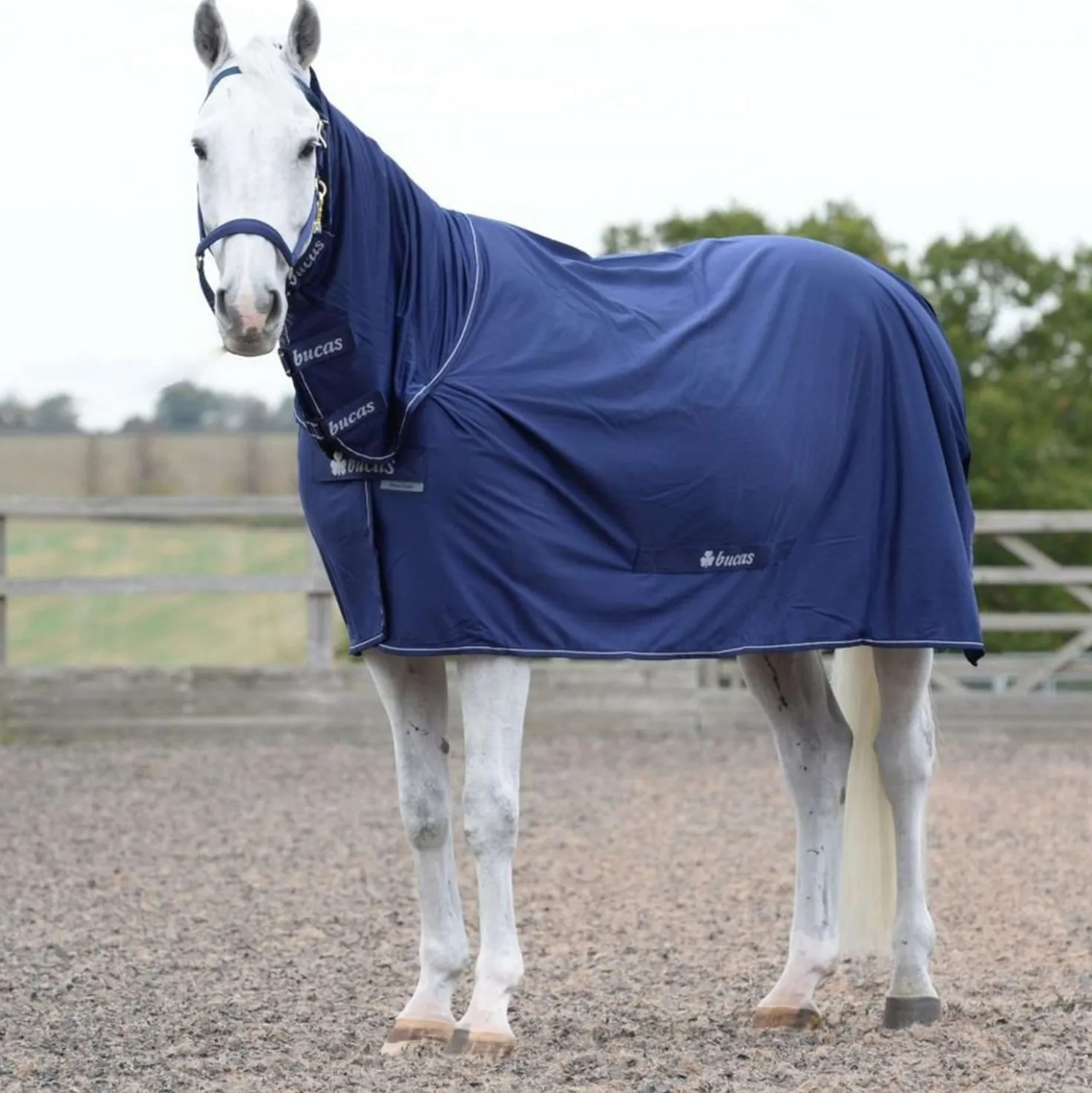 Bucas Power Cooler & Neck Navy/Silver