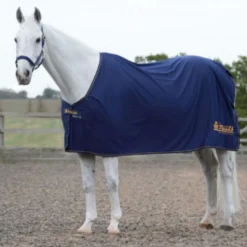 Bucas Prize Cooler Navy/Gold