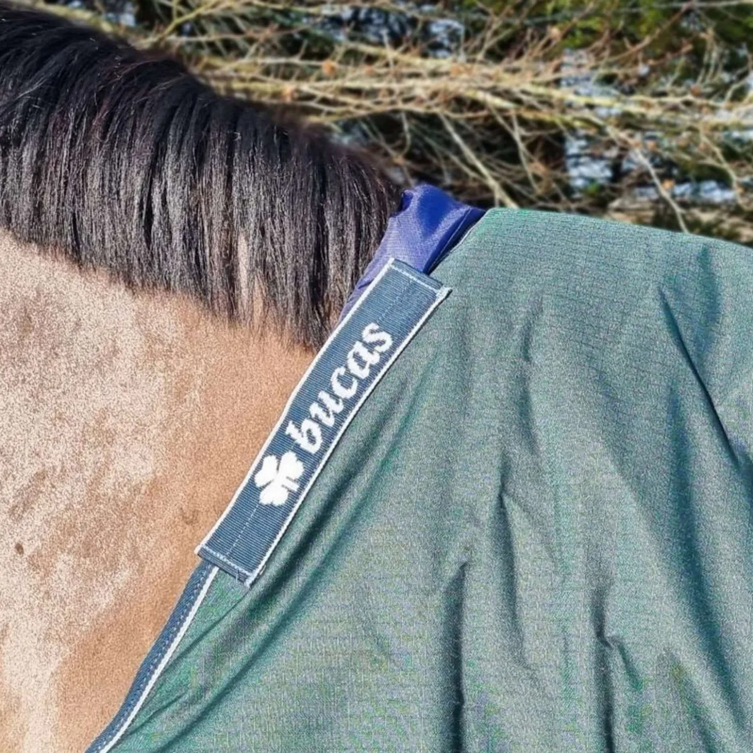 Bucas Schoftbeschermer Blauw