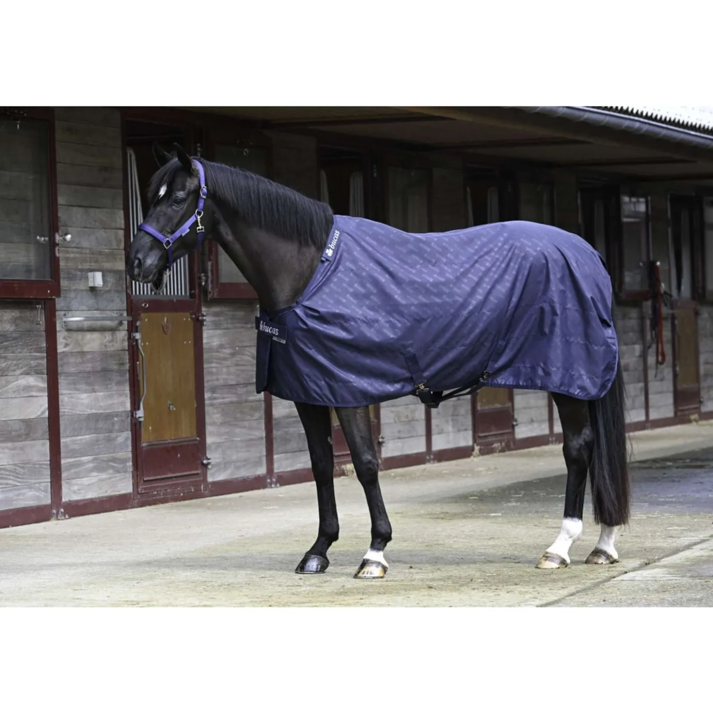 Bucas Stable Sheet 0g Navy/Navy