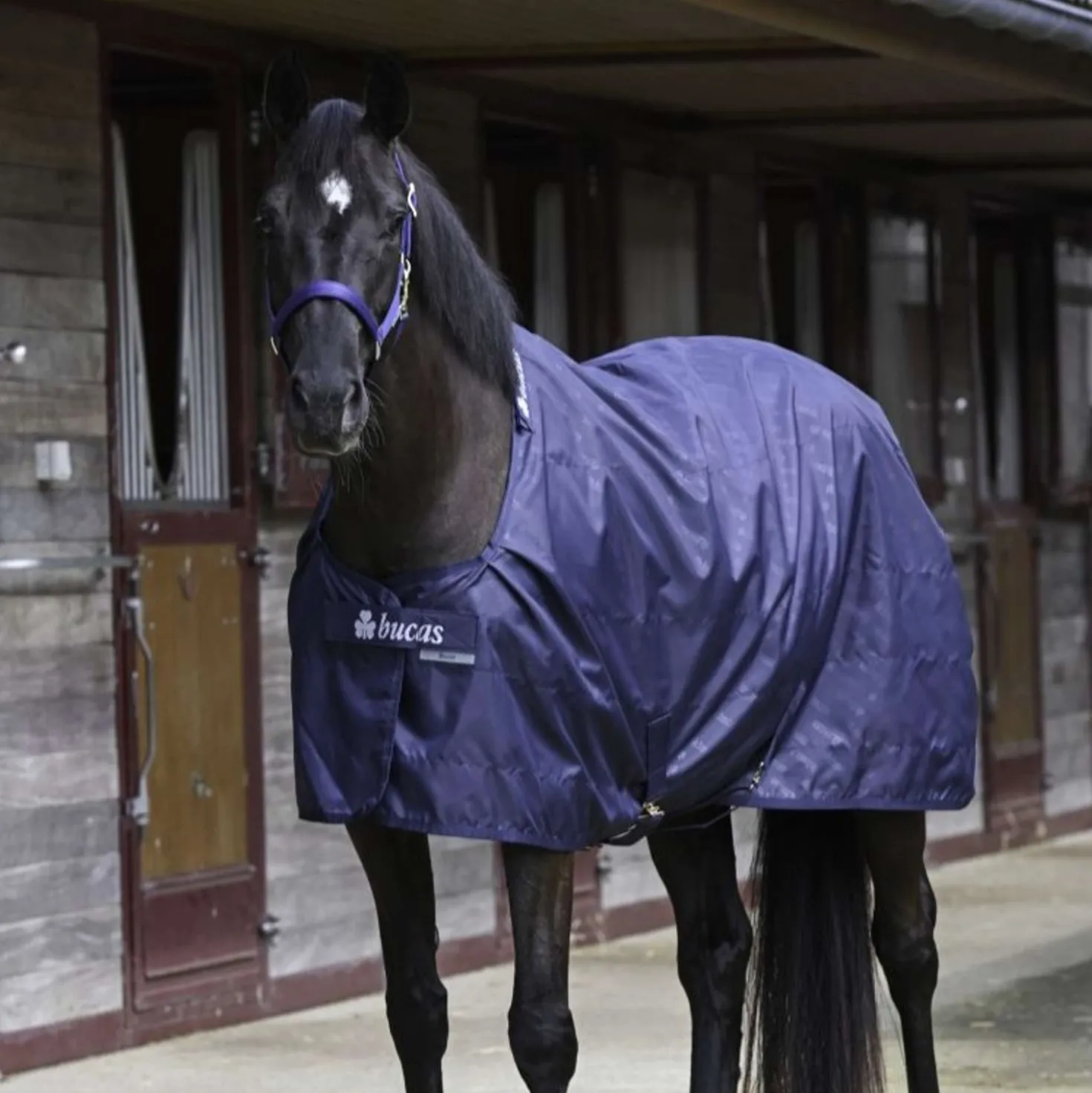 Bucas Stable Sheet 0g Navy/Navy