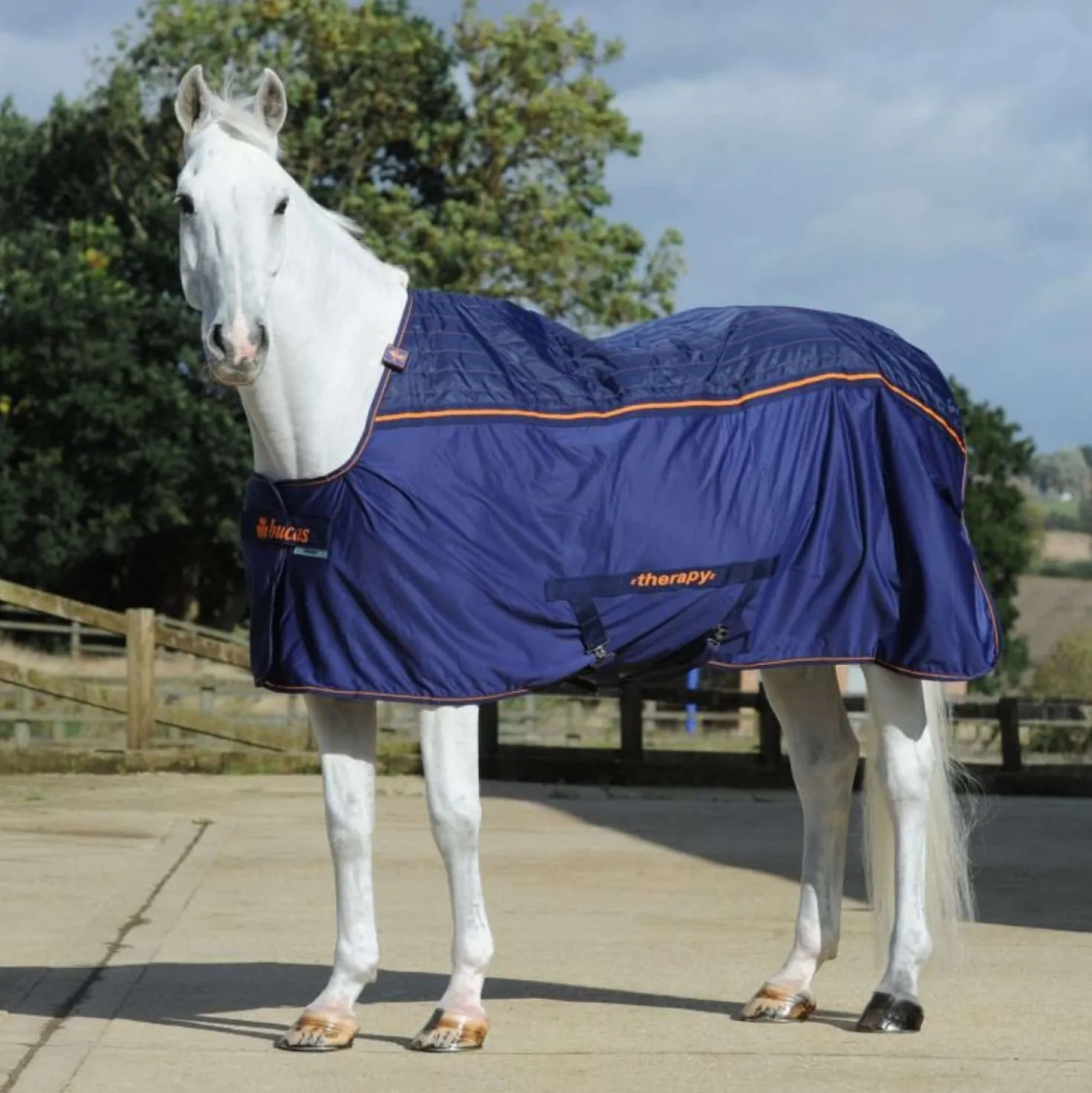 Bucas Therapy Cooler Big Neck Navy/Orange