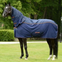 Bucas Therapy Cooler Navy/Orange