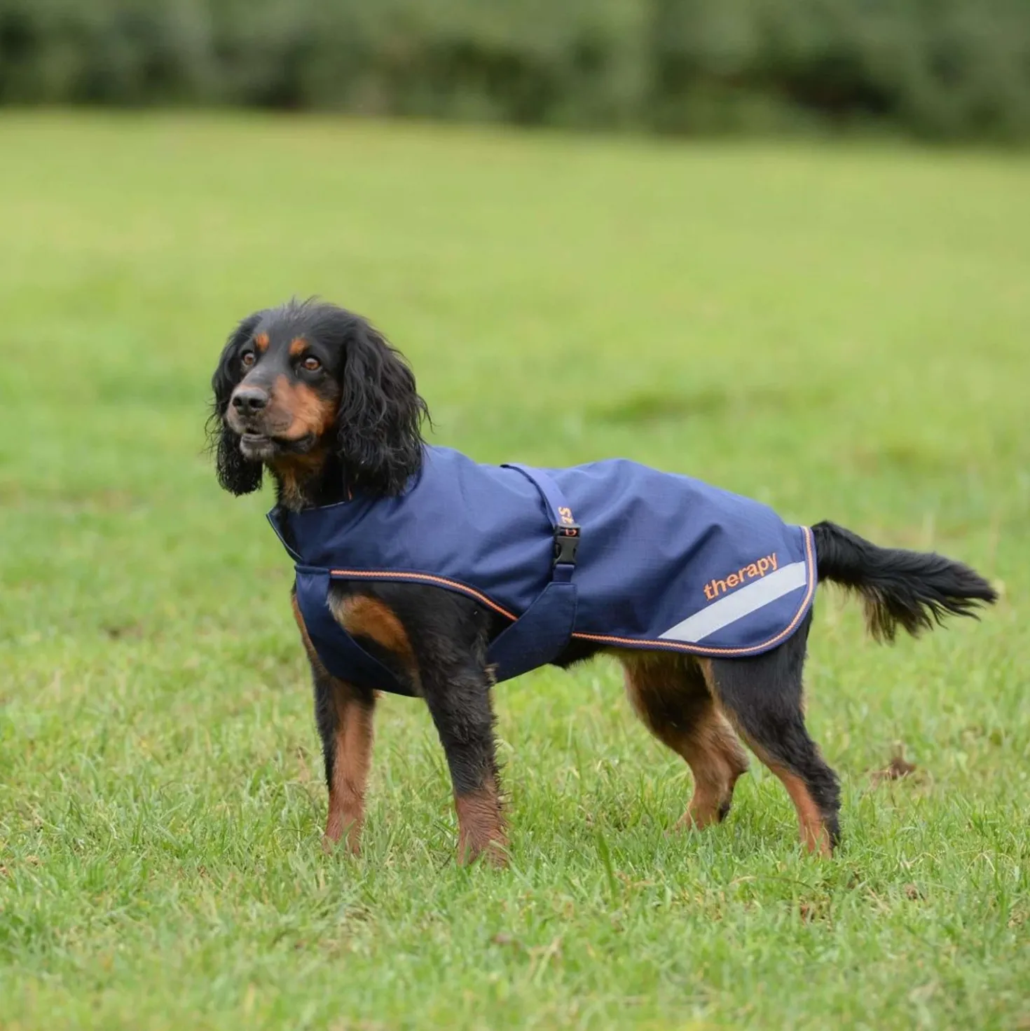 Bucas Therapy Dog Rug 150g Navy/Orange