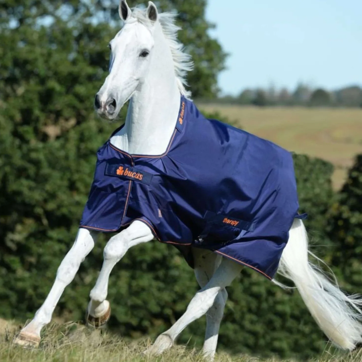 Bucas Therapy Turnout 50g Navy/Orange