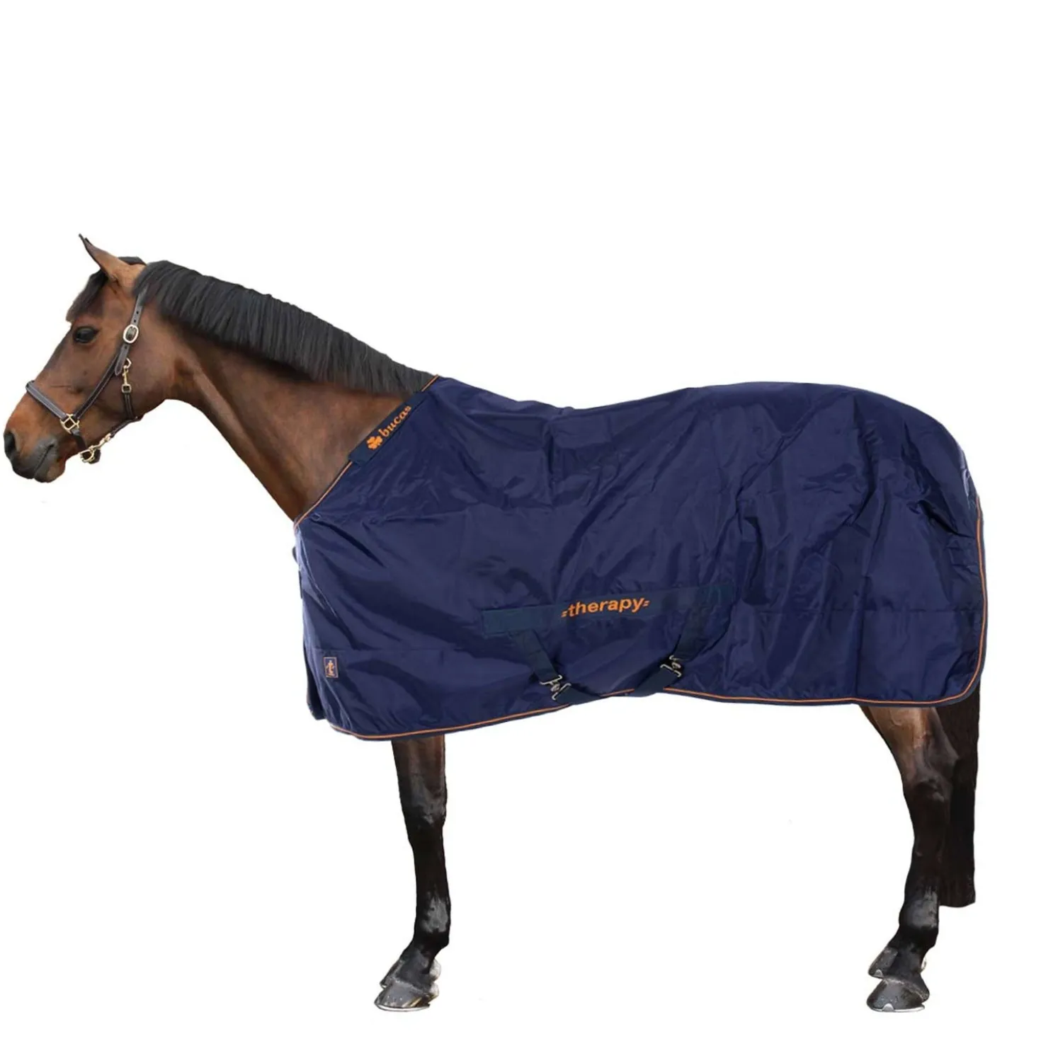 Bucas Therapy Turnout 50g Navy/Orange