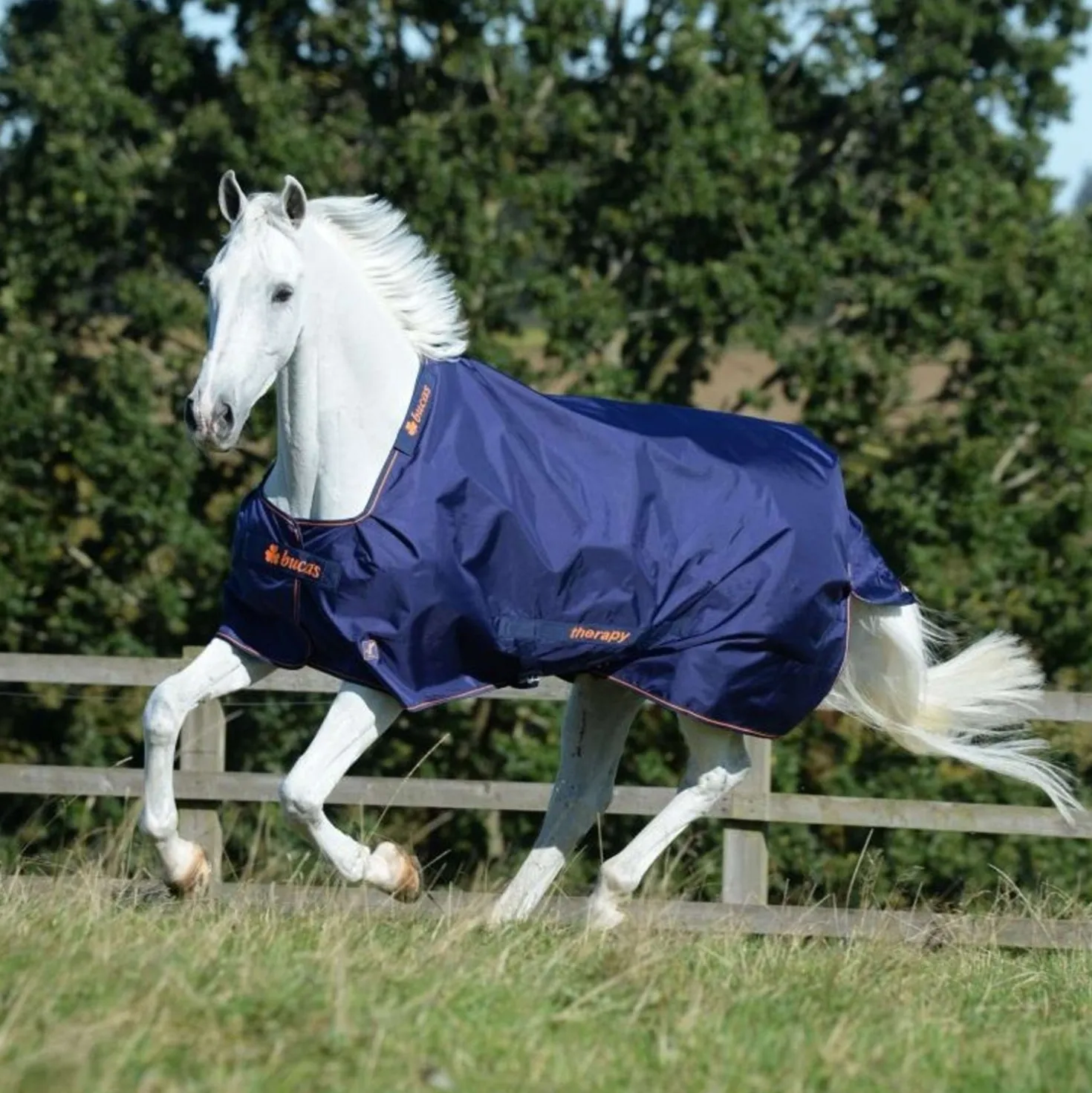 Bucas Therapy Turnout 150g Navy/Orange