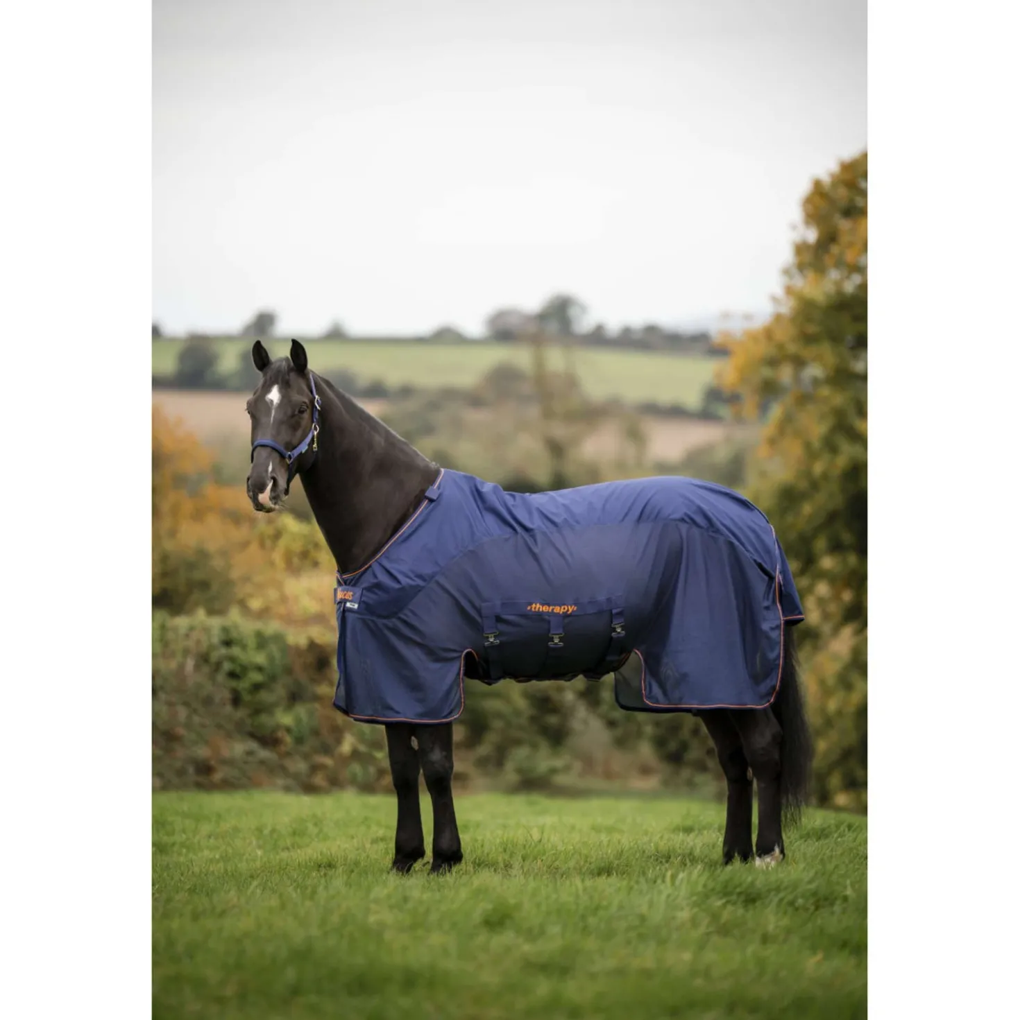 Bucas Therapy X-Range Rain Navy/Orange
