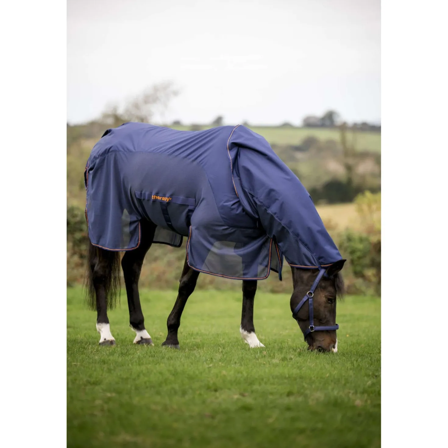 Bucas Therapy X-Range Rain Navy/Orange