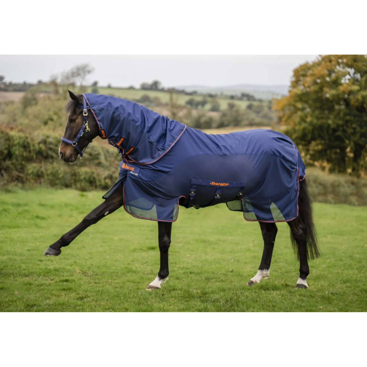 Bucas Therapy X-Range Rain Navy/Orange