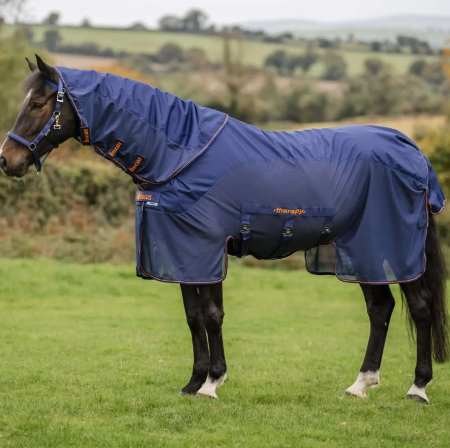 Bucas Therapy X-Range Rain Navy/Orange