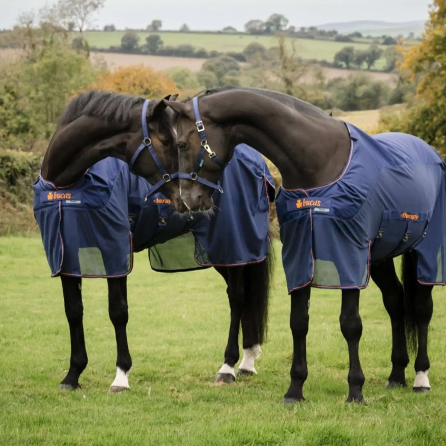 Bucas Therapy X-Range Rain Navy/Orange