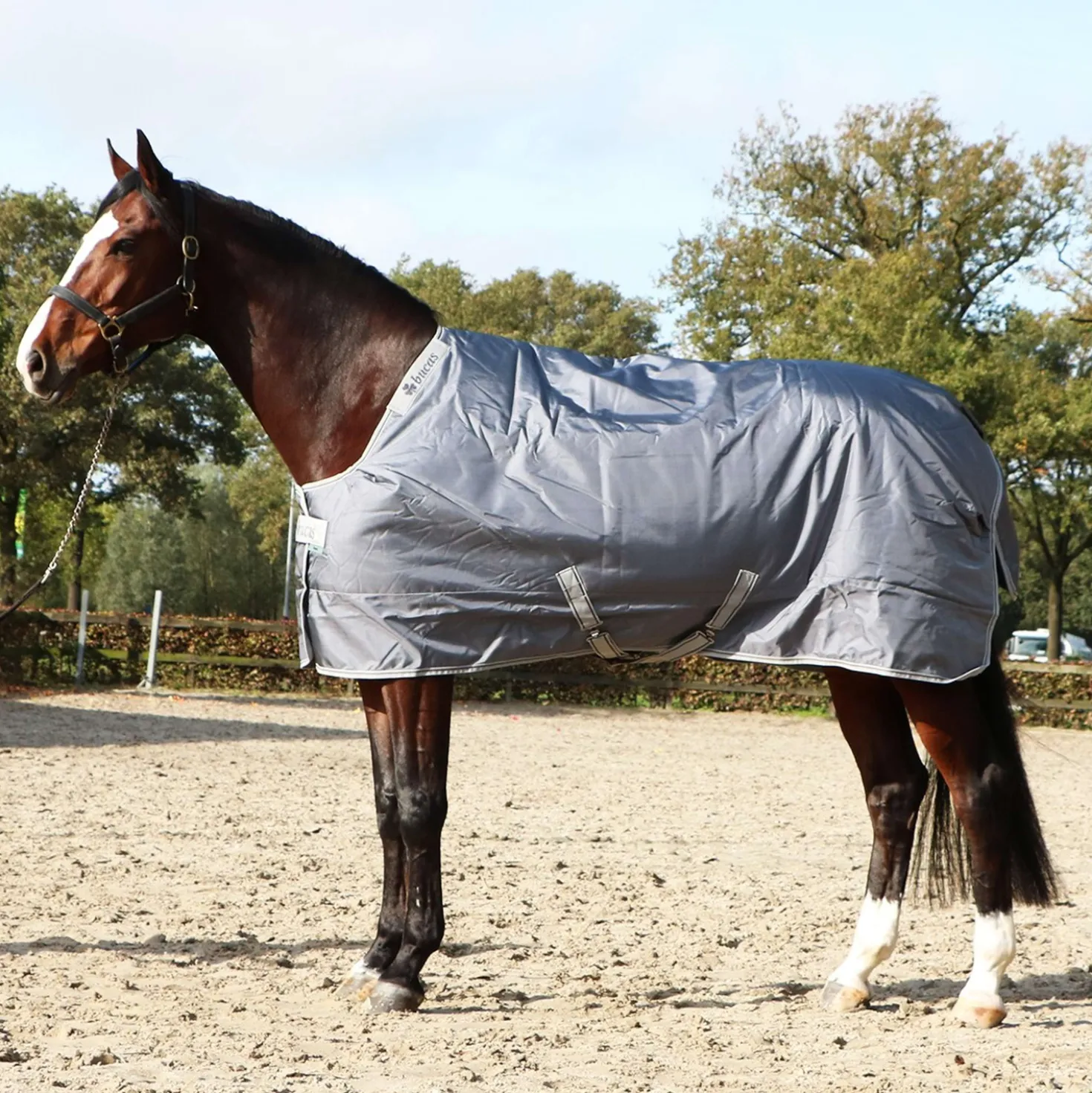 Bucas Turnout Smartex Medium 150g Iron Gate