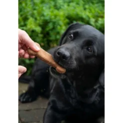 Bugbone Hondensnack 6 stuks