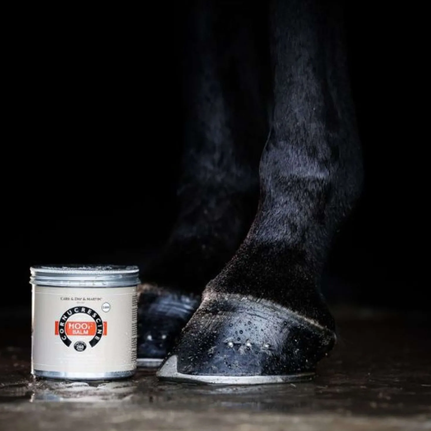 Carr & Day & Martin Cornucrescine Hoof Balm Clear