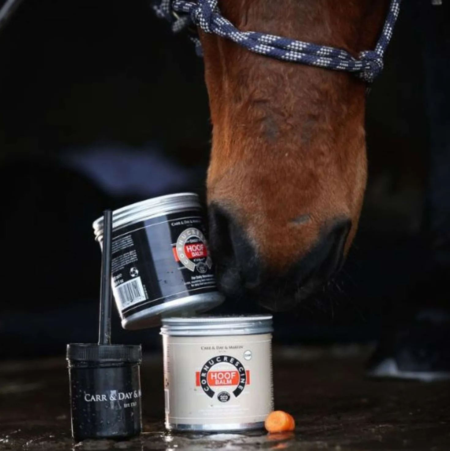 Carr & Day & Martin Cornucrescine Hoof Balm Clear