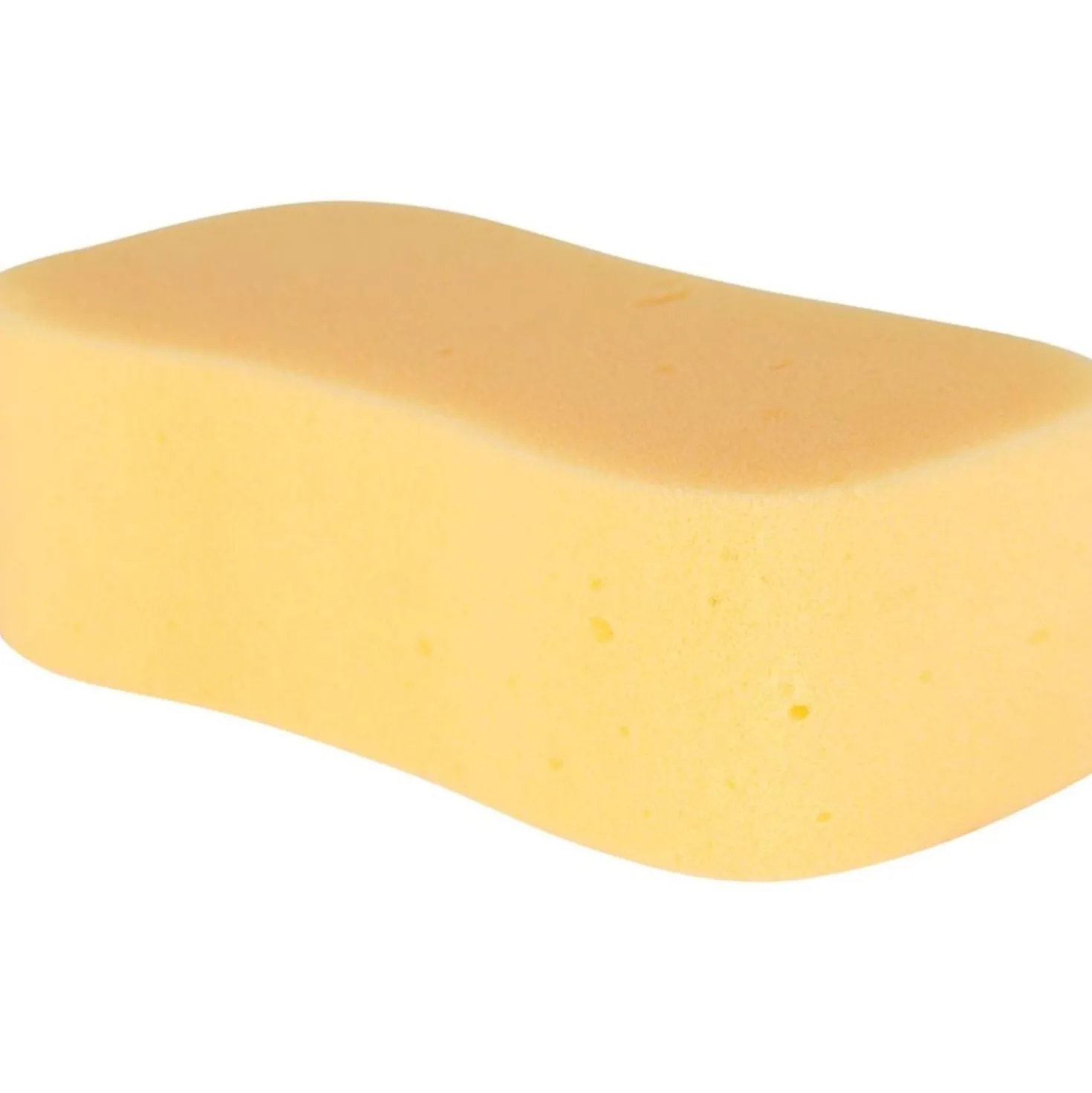 Carr & Day & Martin Horse Care Sponge