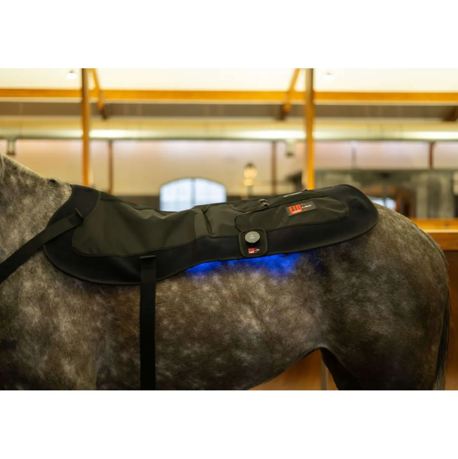 Catago LED Therapie Pad Fir-Tech X84