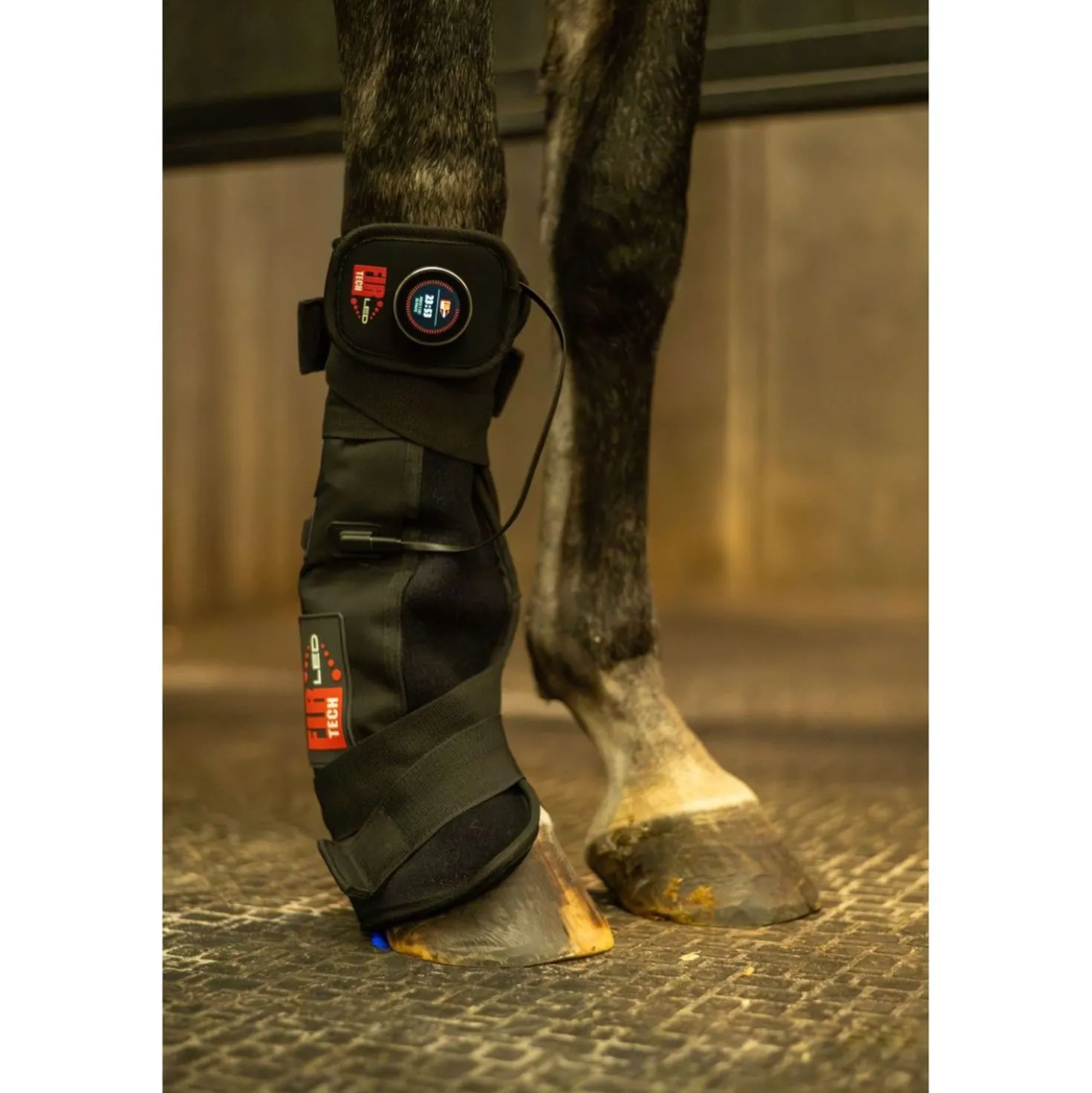 Catago LED Therapie Pad Fir-Tech Q27