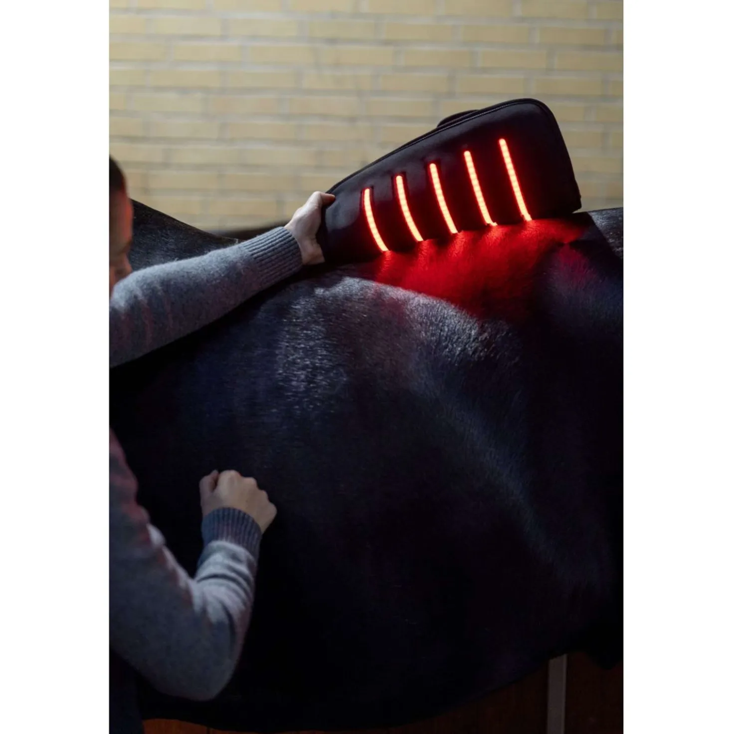 Catago LED Therapie Pad Fir-Tech Q27