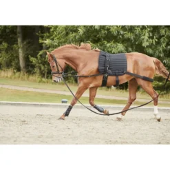 Catago Zadeldekje Hybrid Training Dressuur Zwart