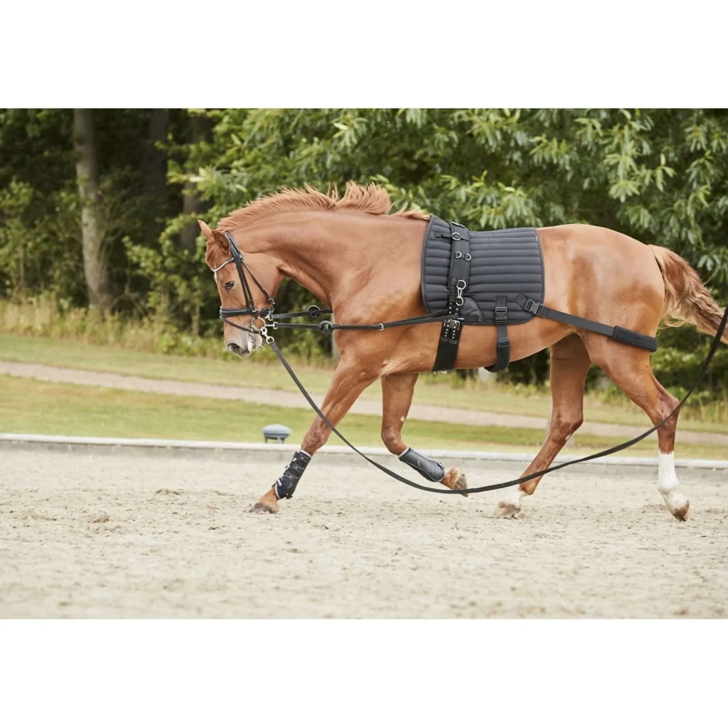 Catago Zadeldekje Hybrid Training Dressuur Zwart
