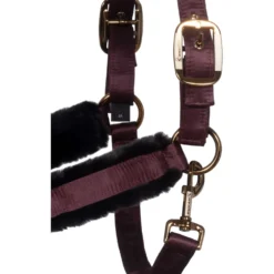 Cavallo Halster CavalJero met Bont Dusty Plum